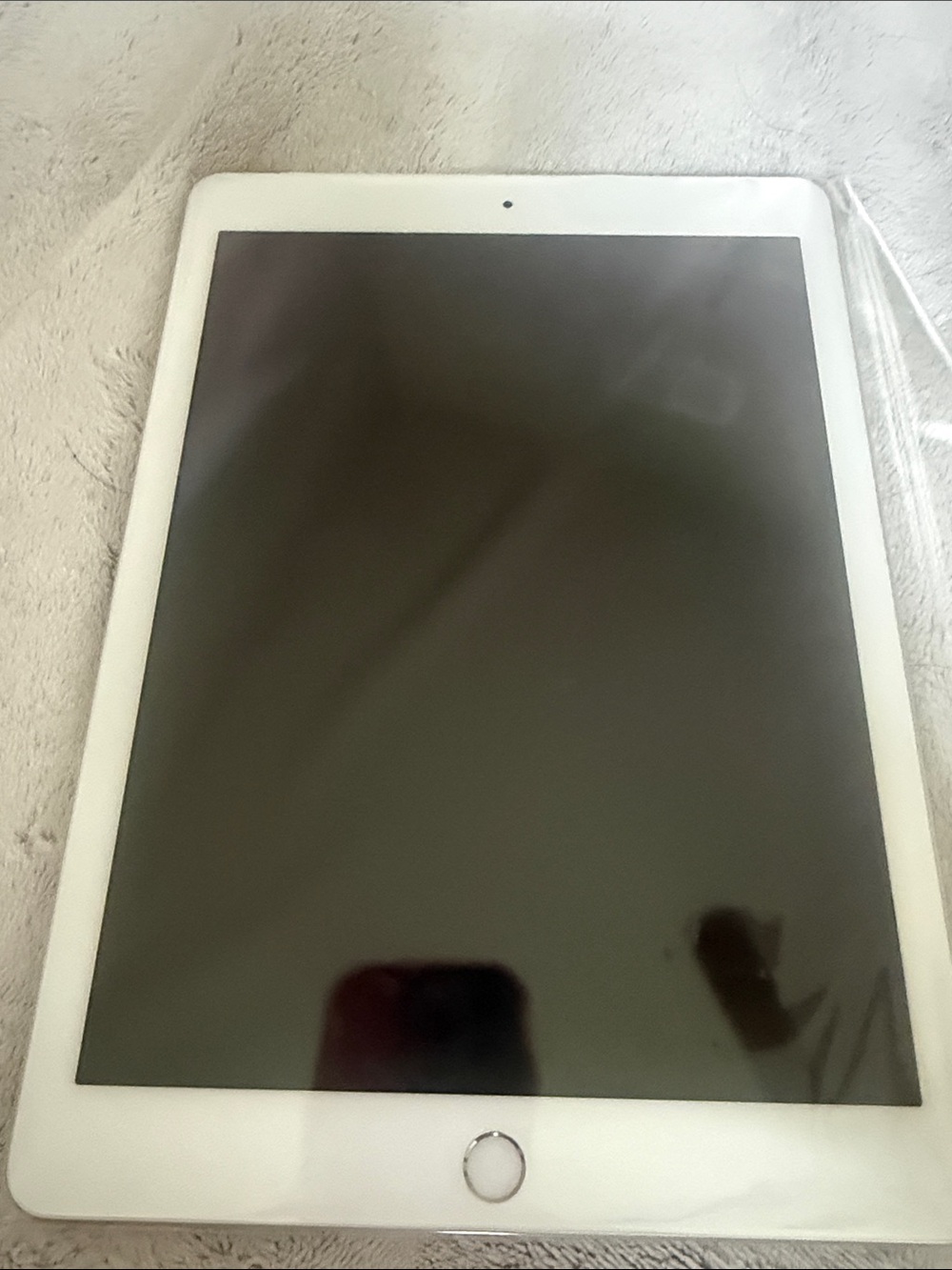 Apple iPad Silver Back Panel with Apple Logo - Picture 2 of 3